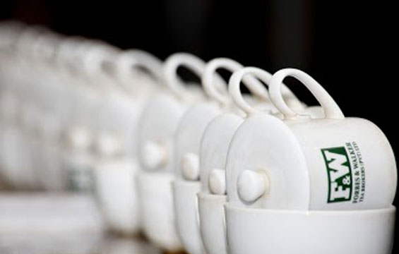 Japan to promote Matcha Tea